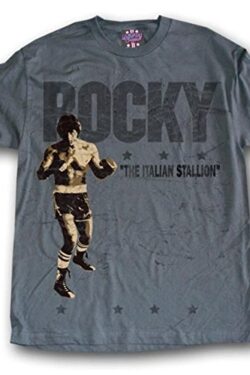 Rocky Soft Vintage Cotton Grey T-shirt - Gray - 2X