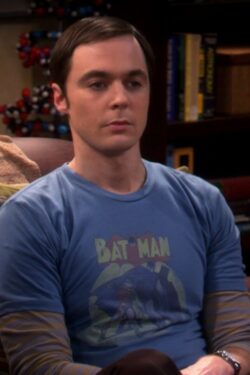 Batman & Robin Sheldon Cooper Big Bang Theory
