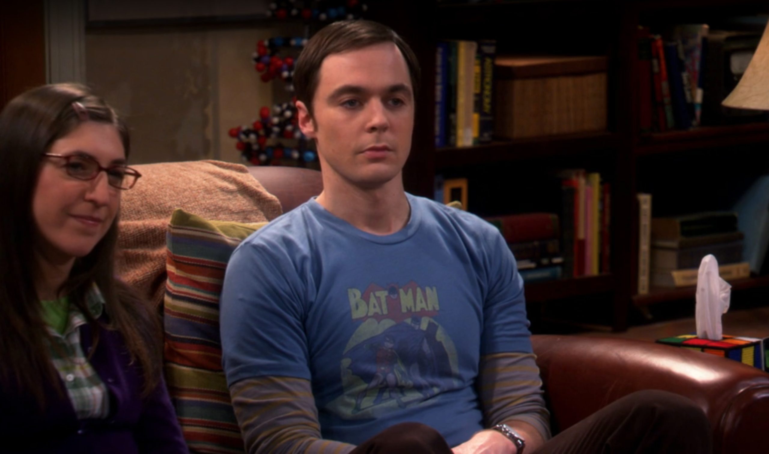 Batman & Robin Sheldon Cooper Big Bang Theory