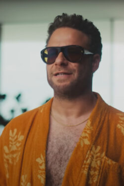 Sunglasses Seth Rogen in Good Fortune