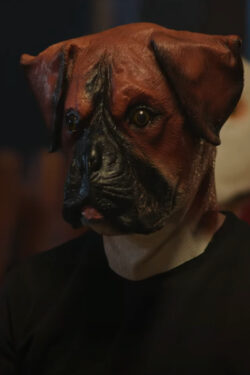dog head mask self help